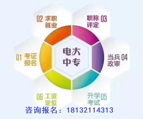 初中學歷報電大中?？梢詥? width=