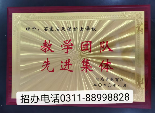 石家莊天使護士學校2025年春季什么專業(yè)招生